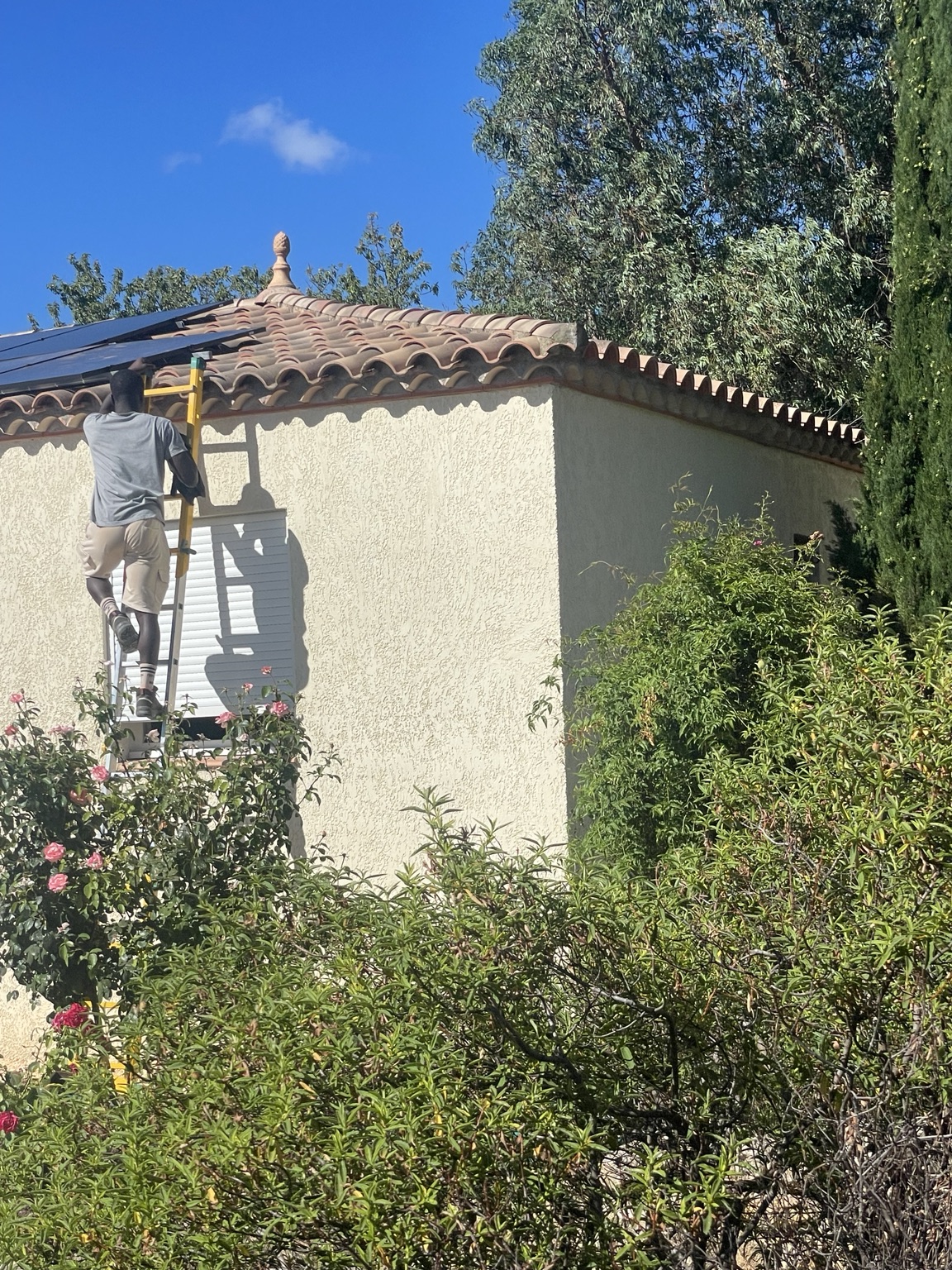 Projet 12 MS SOLUTIONS — photo 5